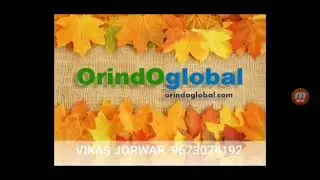 Orindo global business solution call for joining 9673074192