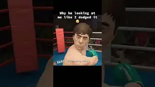 VR boxing core