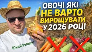 5 овочів які НЕ варто сіяти у 2026 якщо хочете прибутку