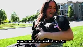 Why Pets Always Come First at Pet Care Insurance