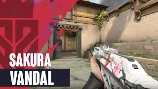 Sakura Vandal Skin Showcase [4K] - Valorant Sakura Skins