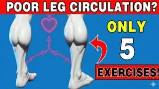 Over 50? Do THESE 5 Exercises for Poor Leg Circulation )