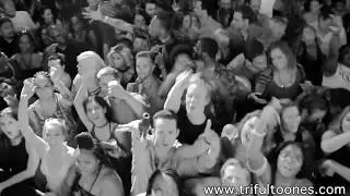 DJ Trife Trizzil feat. Nelly & The St. Lunatics