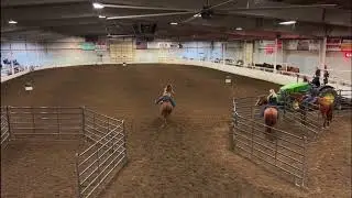 1D/2D Barrel horse for sale! Knuds Mile Run