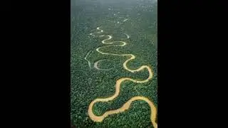 Amazon River ( The Longest River Ever ) @aligeetv7795