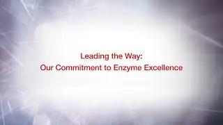 Leading the way: Our commitment to Enzyme Excellence