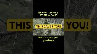 How to Survive a Bear in DayZ (New player tip)