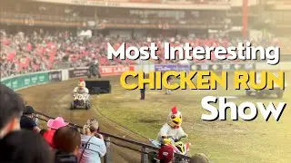 | Most interesting Racing Show | Chicken🐓 Run | 4K HDR