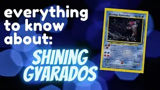 Everything You Need To Know About Shining Gyarados PSA Pop Report & Price Analysis | Card Vault