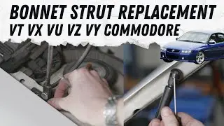 How To: Install VX VY Commodore Bonnet Gas Stay Struts