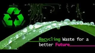Waste Management & Recycling: Government Procurement Analysis
