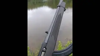 Pawn Shop find $129 Ruger 10/22
