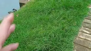 Embolso fino na parede de bloco?