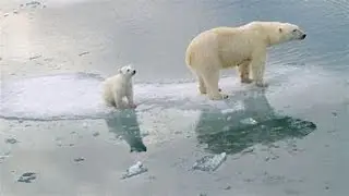 The Climate Crisis Is Closer Than You Think &ndash; A Student Analysis