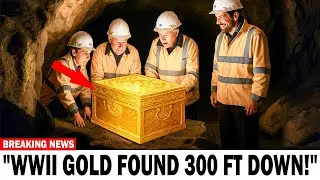 Hidden for 80 Years: WWII Gold Finally Unearthed!