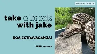 IG Live Replay: Take a Break with Jake ~ Boa Extravaganza!