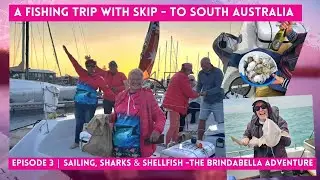 Episode 3 | Sailing, Sharks & Shellfish &ndash;The Brindabella Adventure  Fishing Trips with Skip to SA -