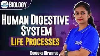 Human Digestive System Life Processes || #ShortLecture || Deveeka || Infinity Learn 9 & 10