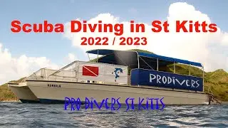 Scuba Diving in St Kitts 2023