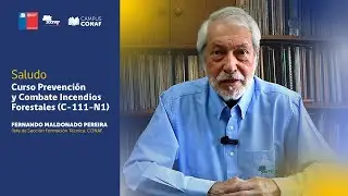 Saludo C111 - N1
