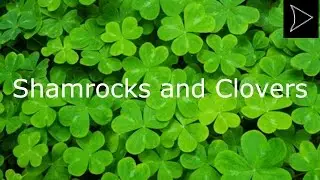Facteroids Episode 17: Shamrocks and Clovers