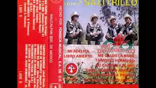 Los Halcones De Salitrillo -- 15 Exitos (Cassette Completo)
