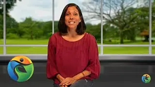 Maria Marcano, The Burnout Repair Coach | Are You Suffering From Burnout?