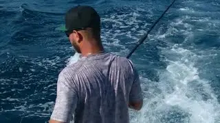 How to rig a ballyhoo for seawitch trolling