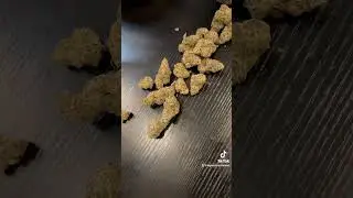 Legend Flower Chocolate Chip Mint Lineage: SinMint Cookies X Green Ribbon