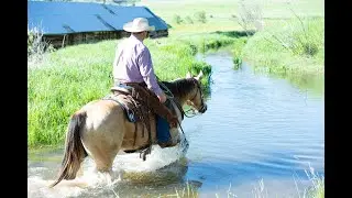 [Meet Skip] AQHA HESA ROOSTER TOO. All-Around Honest Buckskin Gelding | Diamond-McNabb Ranch Horse