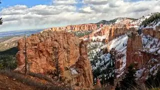 Black Birch Arrives. #brycecanyonnationalpark