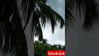 megam karukuthu💦 mala vara paakuthu 🌴🌱