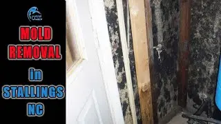 Mold Removal Service -Stallings NC  Charlotte Crawlspace Solutions  704.989.8219