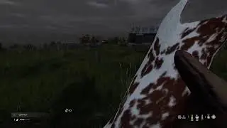 DayZ PS5 Stream 013 - Based_On_Cringe
