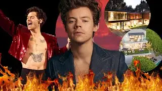 HARRY STYLES' EMPIRE: His ACTUAL NET WORTH, LUXURY Mansions and Hollywood Deals!