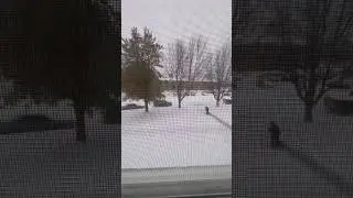 Seavy snow USA ❄️ #usa #virginia  #beautiful #travel #trending #viralvideo #viralshorts #winter