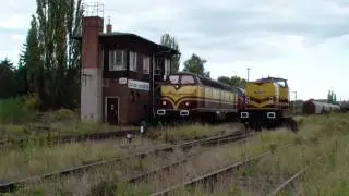 My1142 und 1806 in Staßfurt