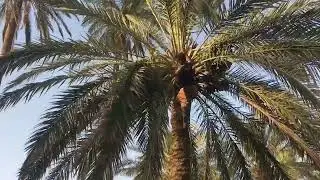 #شخصيات من مندلي..شوفو طيبه ورقي اهل اولايتي ..@الجميع