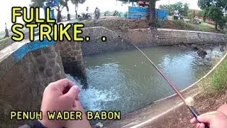 MANTAPP. . .FULL STRIKE IKAN WADER