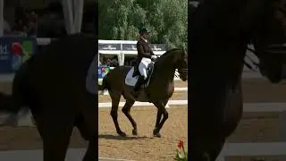 Piaffe and Passage #shortswithcamilla #dressage #horses #equestrian #grandprix