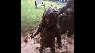 BEST Funny Moments Compilation 2018 | Gyo Funniest