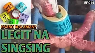 PAANO MALALAMAN KUNG LEGIT ANG RING NG KALAPATI? | PAANO MAG SINGSING NG KALAPATI | USAPANG SINGSING