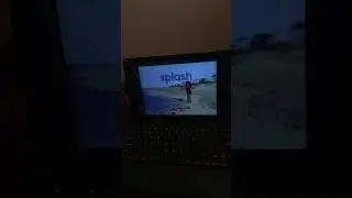 Sesame Street Girl on Beach Splash