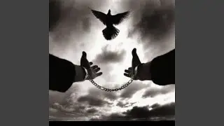 Echoes of the prophecy