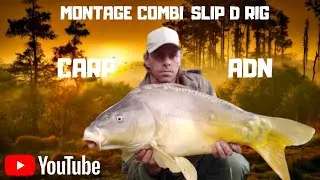 TUTO MONTAGE COMBI SLIP D RIG CARP.ADN