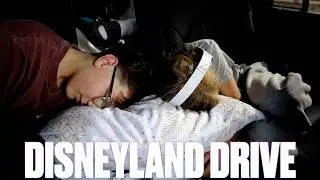 DRIVING 700 MILES WITH FOUR KIDS TO DISNEYLAND | WORTH THE 10 HOUR DRIVE? ROAD TRIP TRAVELING HACKS