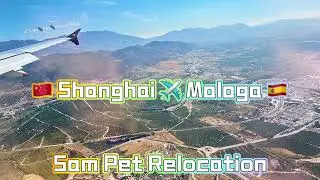 🇨🇳 Shanghai ✈️ Malaga 🇪🇸 Happy Reunion #pets #travel #dog #cat 