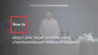 How to detect your target proteins using chemiluminescent detection reagents