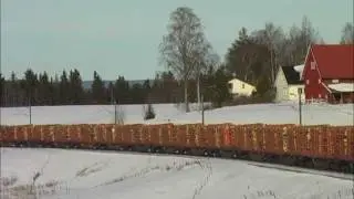 Hector Rail heavy cargo