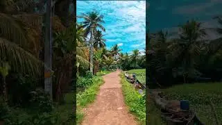 #mountain #nature #waterfall #peaceful #sunset #forest #wildlife #ocean #sunrise #exploring